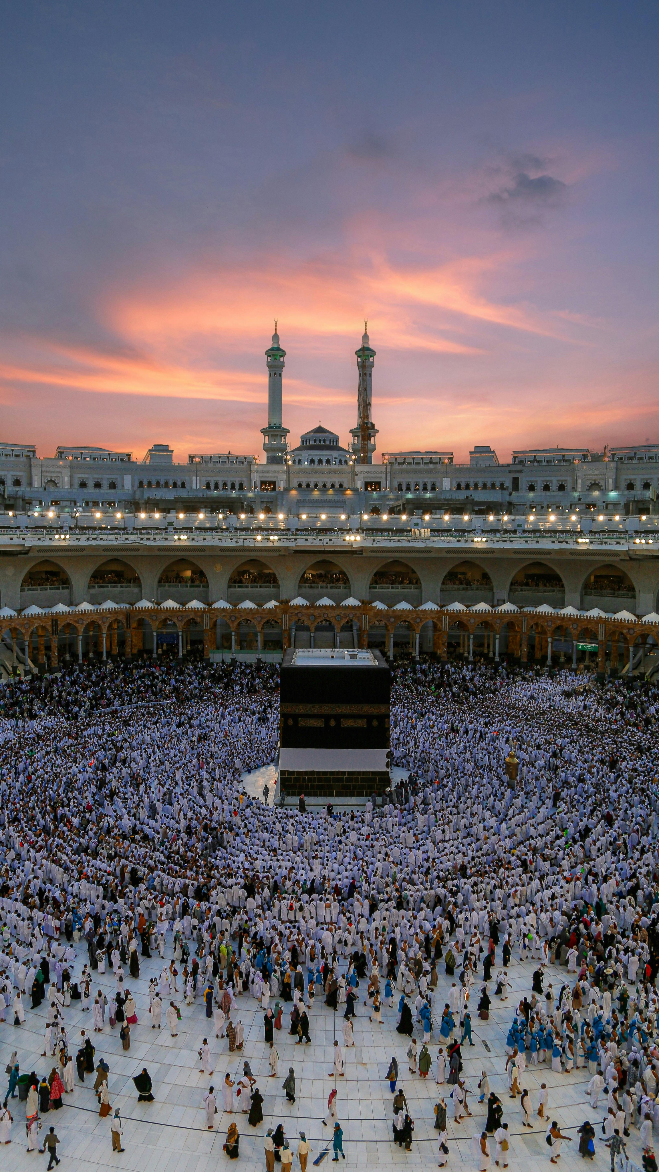إيماج فيوجز